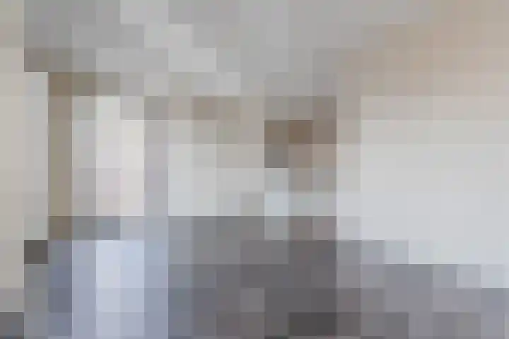 Hoefplein 14 Veghel thumbnail 10