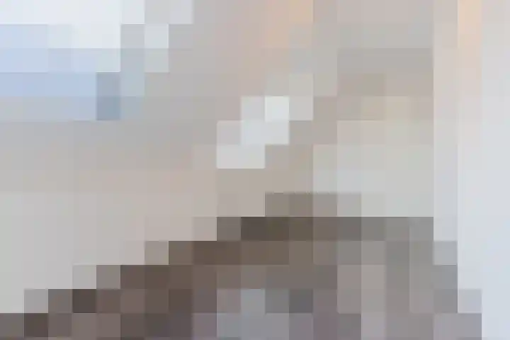 Hoefplein 14 Veghel thumbnail 18