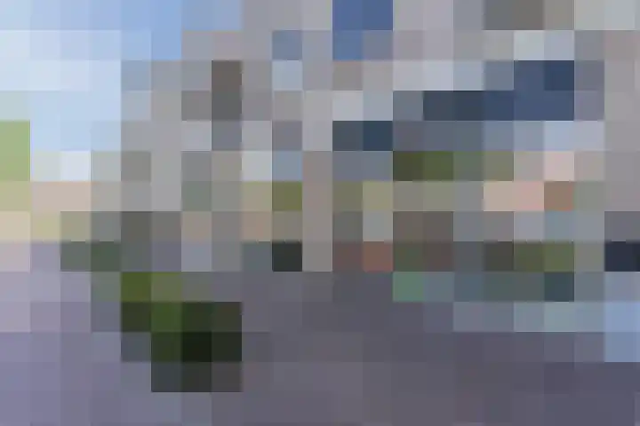 Hoefplein 14 Veghel thumbnail 31