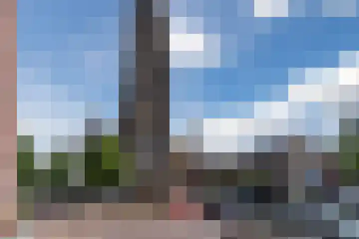 Hoefplein 14 Veghel thumbnail 34