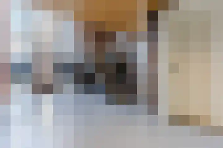 Hoefplein 14 Veghel thumbnail 5