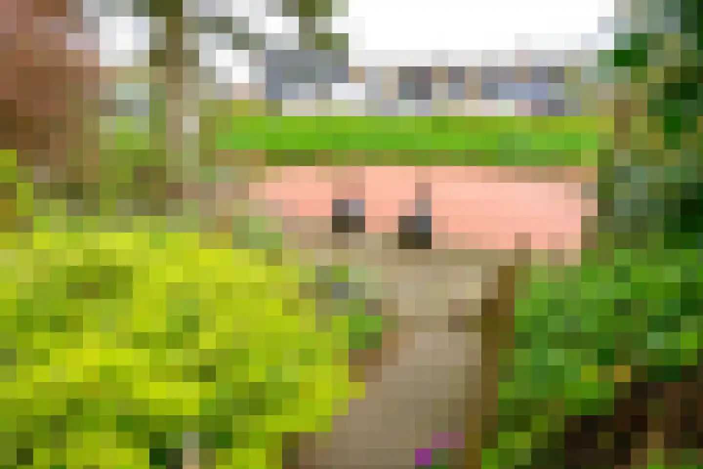 Hoefplein 6 Nieuwe Niedorp thumbnail 10