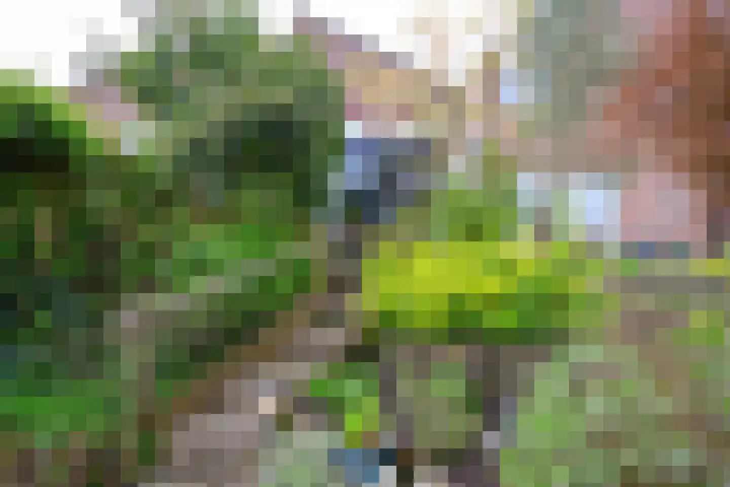Hoefplein 6 Nieuwe Niedorp thumbnail 11