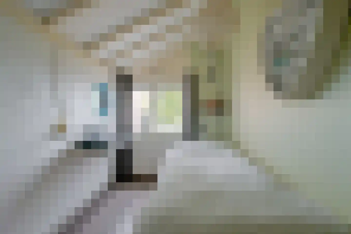 Hoefplein 6 Nieuwe Niedorp thumbnail 15