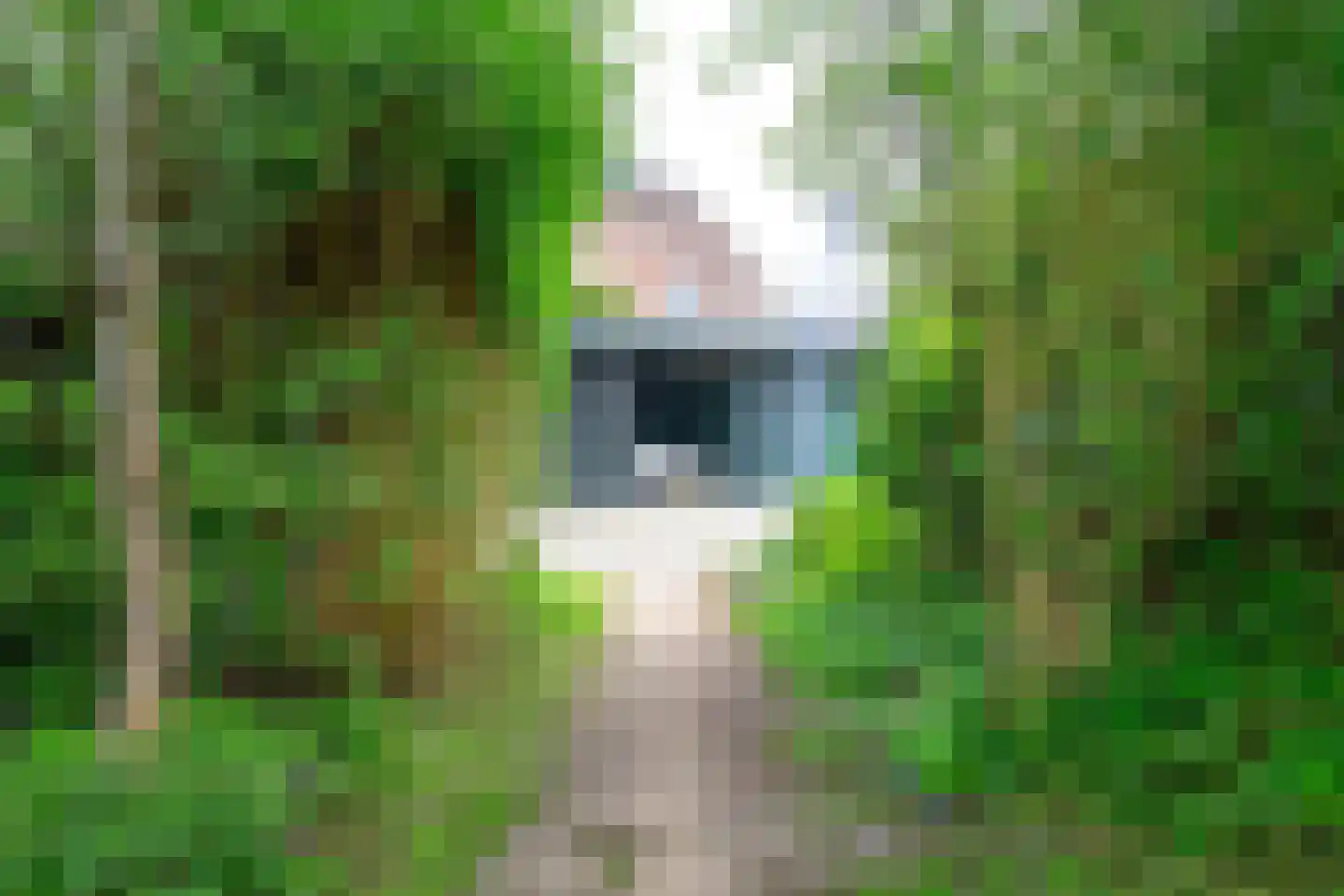 Hoefplein 6 Nieuwe Niedorp thumbnail 23
