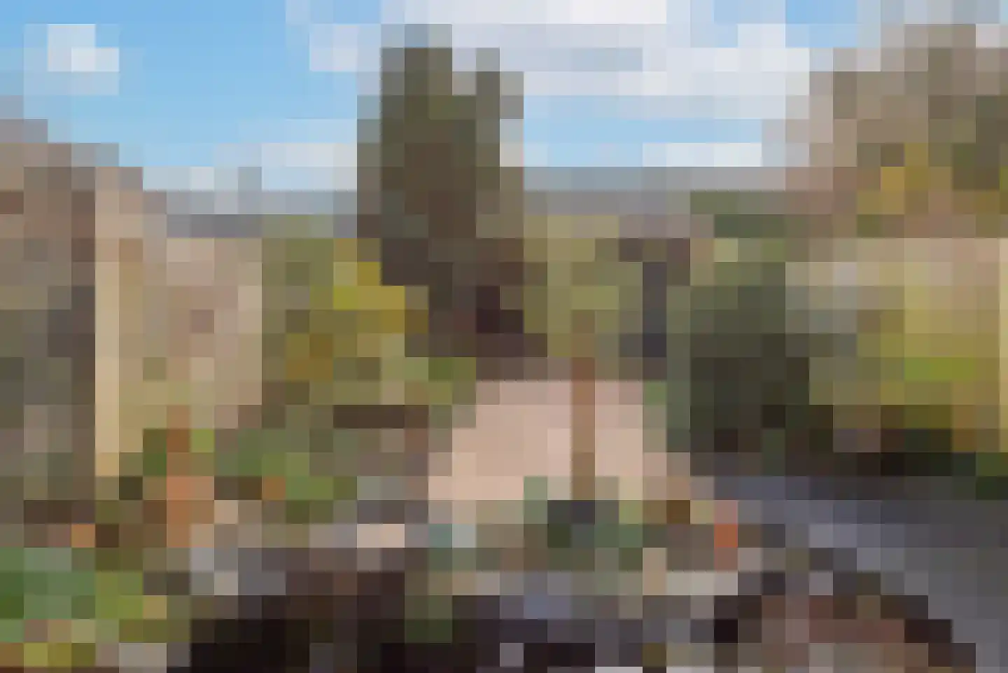 Hoefplein 9 Nieuwe Niedorp thumbnail 38