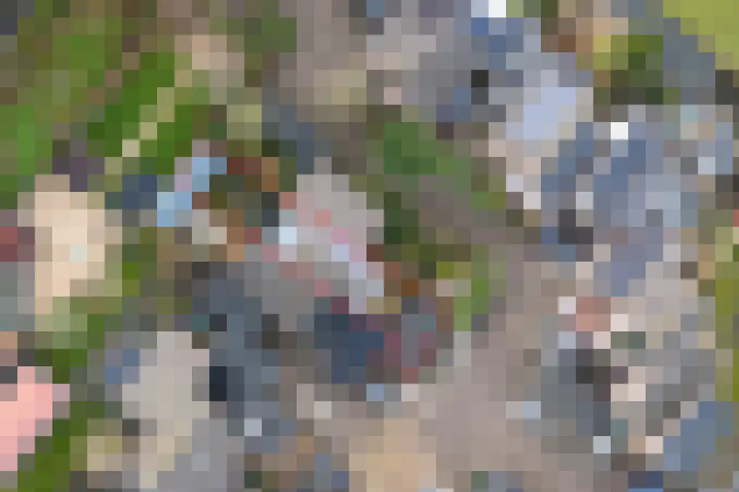 Hoefplein 9 Nieuwe Niedorp thumbnail 4