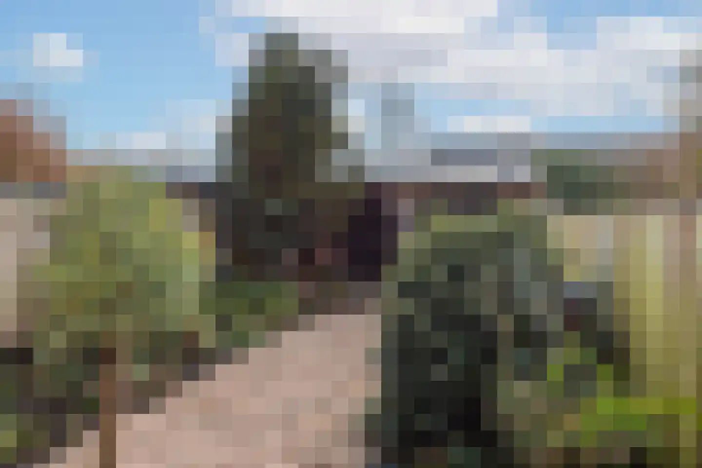 Hoefplein 9 Nieuwe Niedorp thumbnail 42