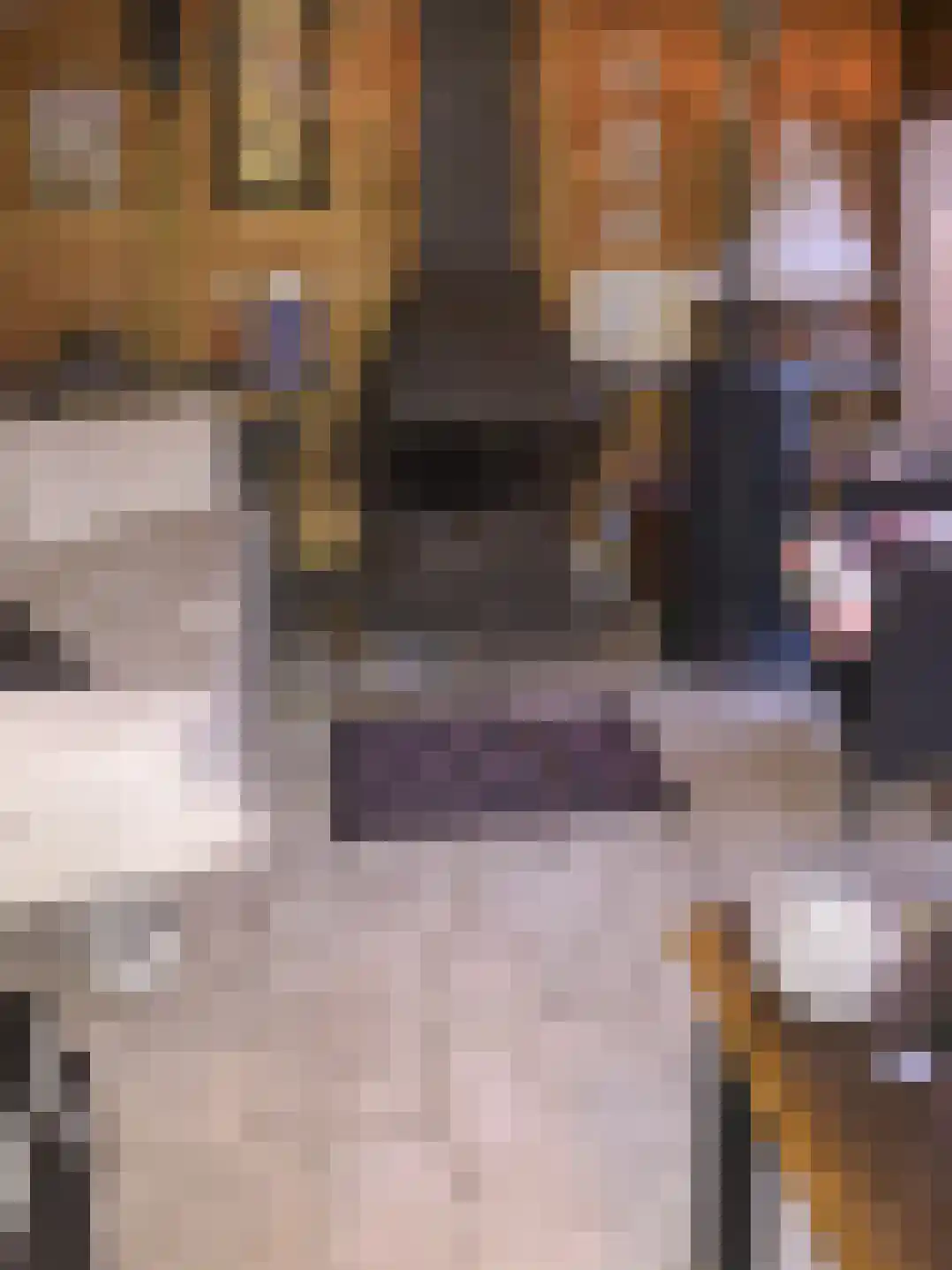 Hoefplein 9 Nieuwe Niedorp thumbnail 47