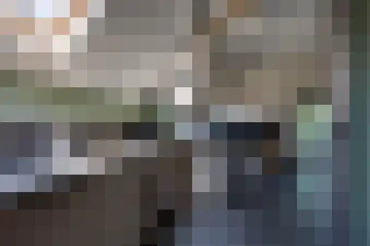 Hoefselaan 10 Rijswijk (NB) thumbnail 9