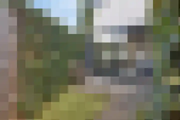 Hoefsetuin 125 Wijchen thumbnail 28