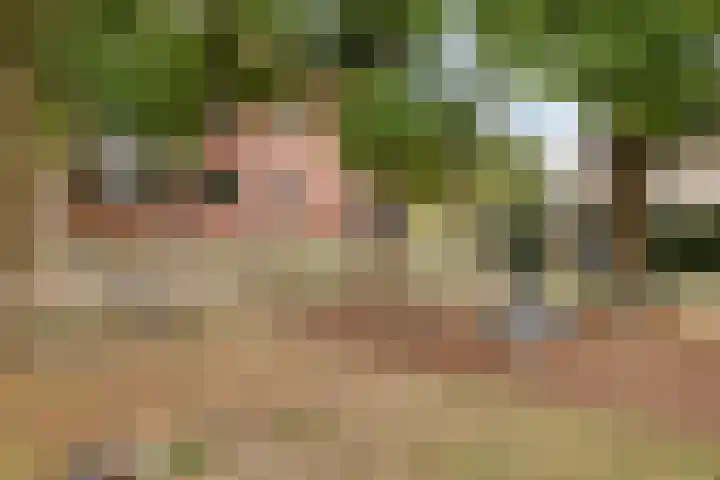 Hoefsetuin 125 Wijchen thumbnail 29