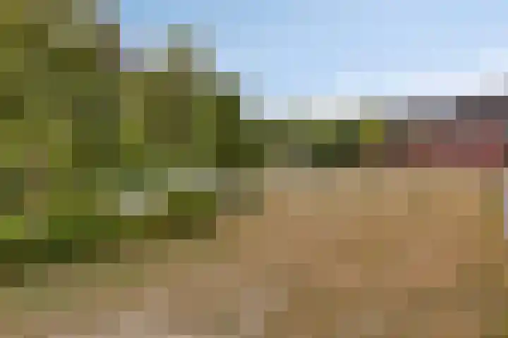 Hoefsetuin 125 Wijchen thumbnail 30