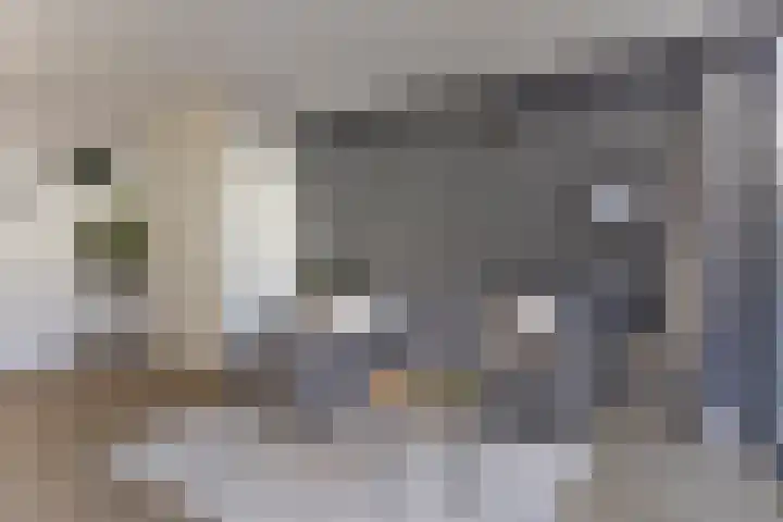 Hoefsetuin 125 Wijchen thumbnail 5