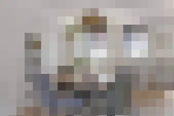 Hoefsetuin 125 Wijchen thumbnail 7