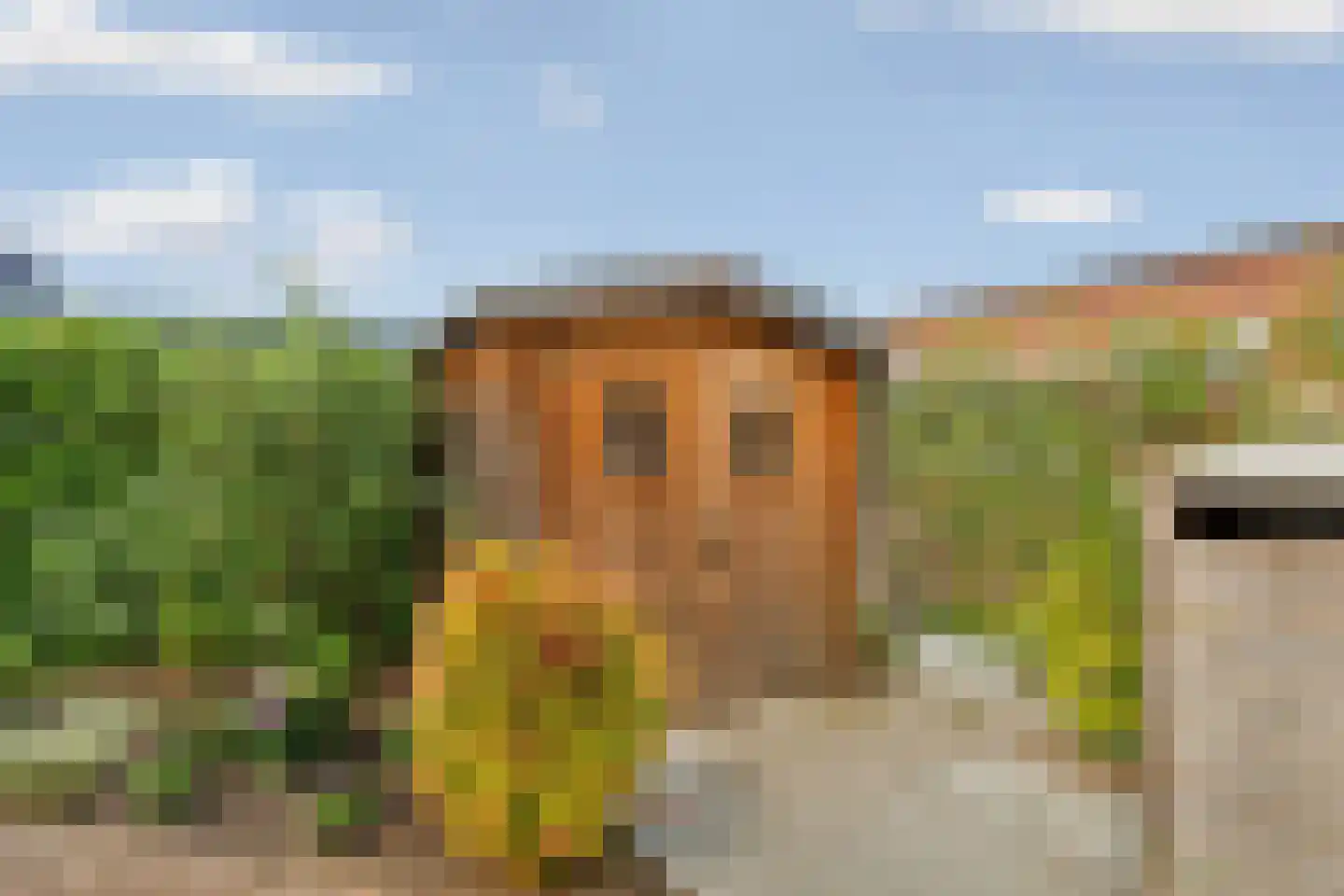 Hoefsetuin 31 Wijchen thumbnail 45