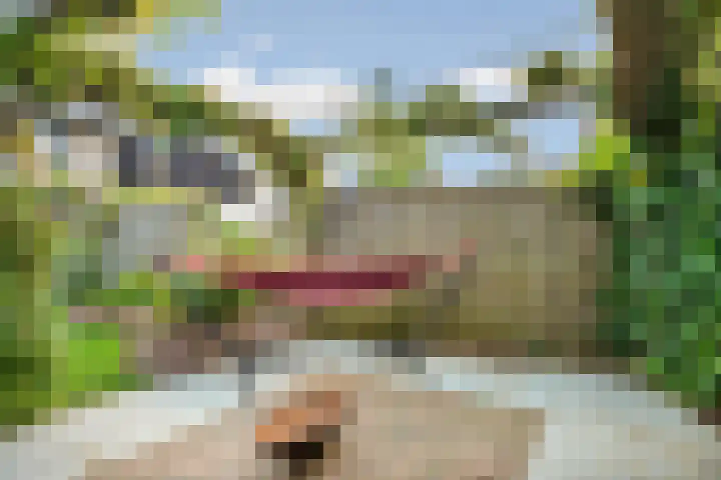 Hoefsetuin 31 Wijchen thumbnail 49