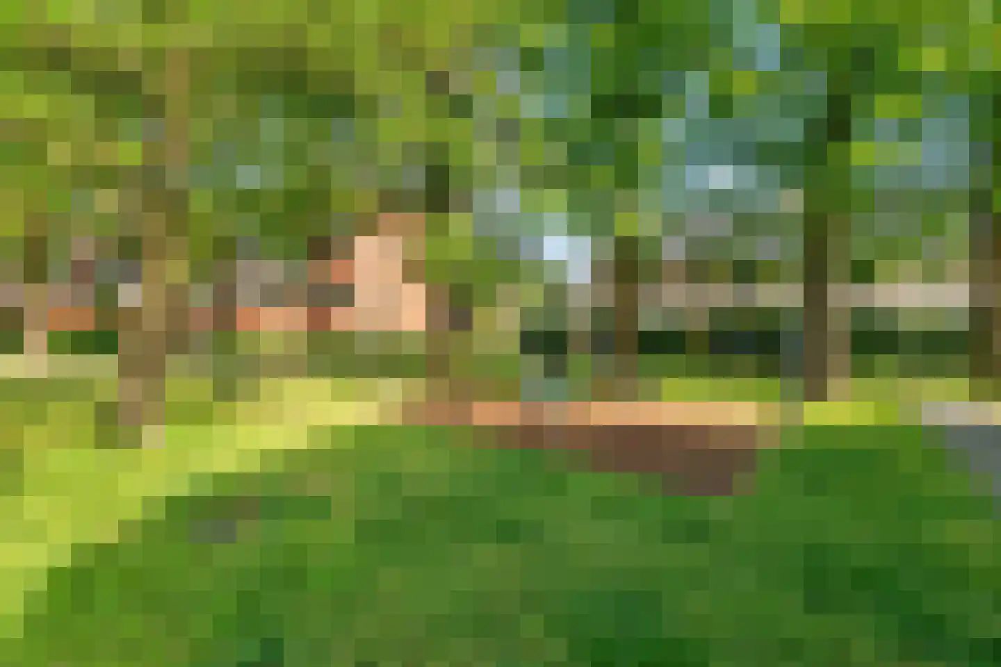 Hoefsetuin 31 Wijchen thumbnail 61