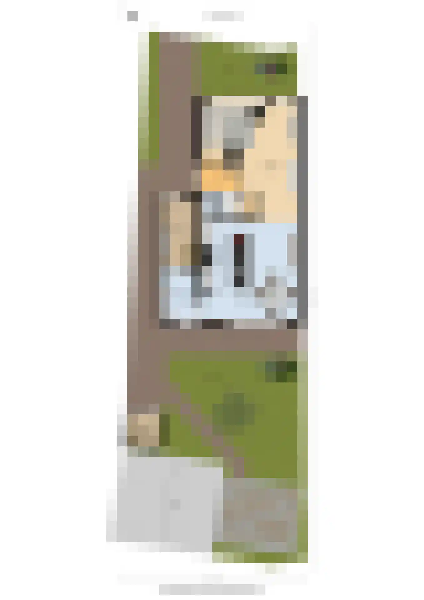 Hoefsetuin 31 Wijchen thumbnail 67