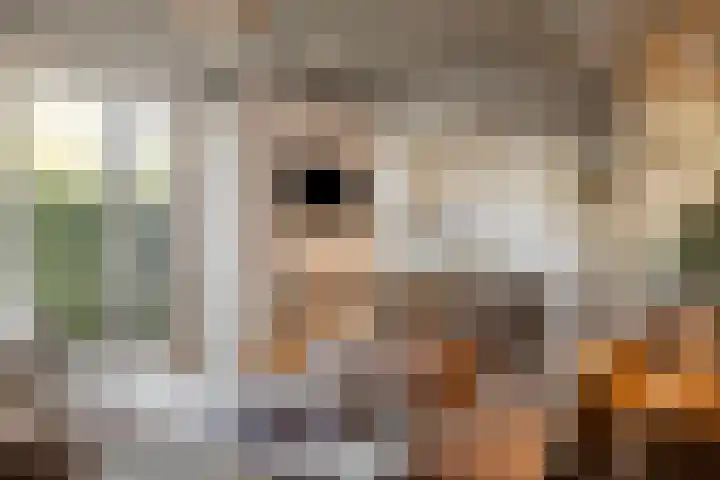 Hoefslag 10 Bemmel thumbnail 10