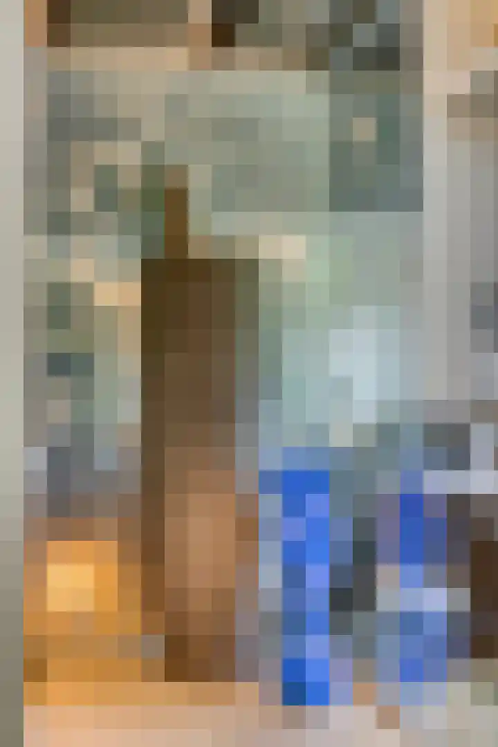 Hoefslag 10 Bemmel thumbnail 13