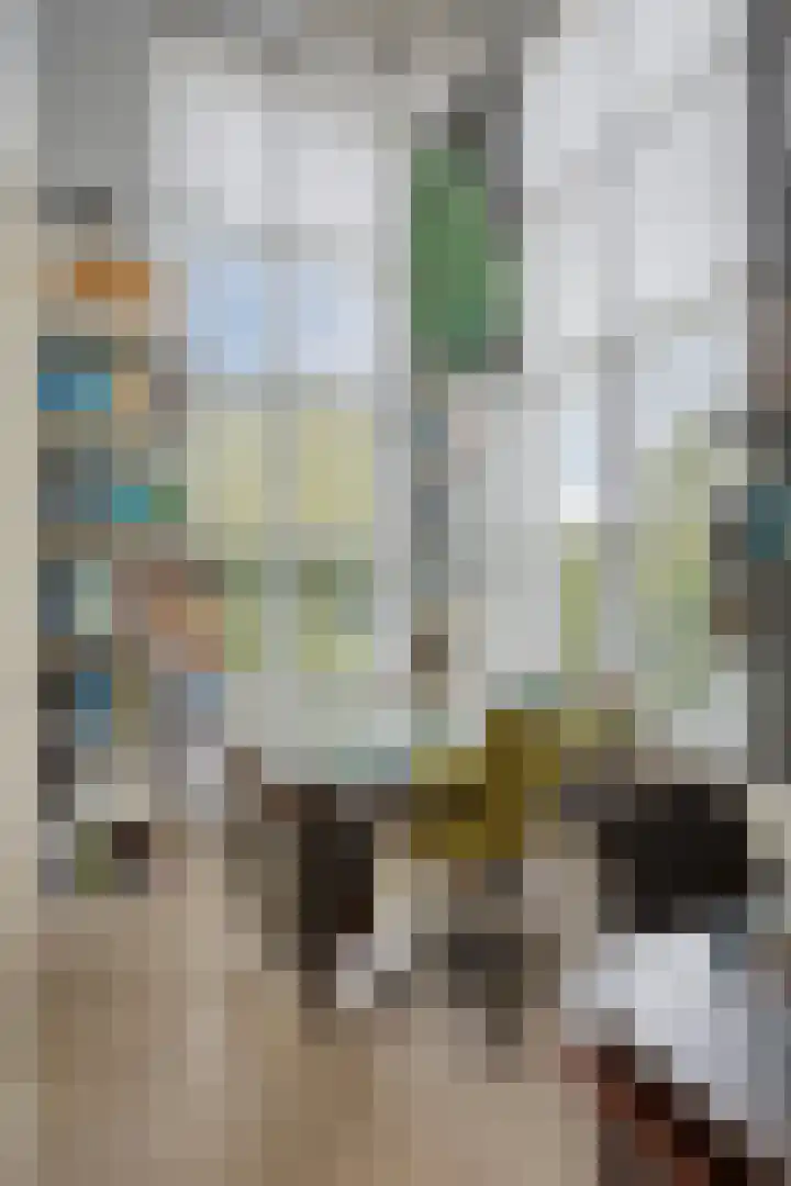 Hoefslag 10 Bemmel thumbnail 16