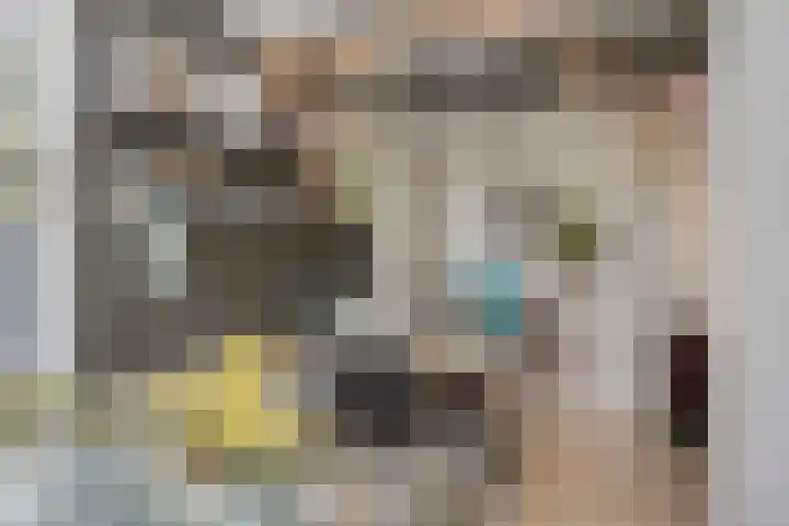 Hoefslag 10 Bemmel thumbnail 18