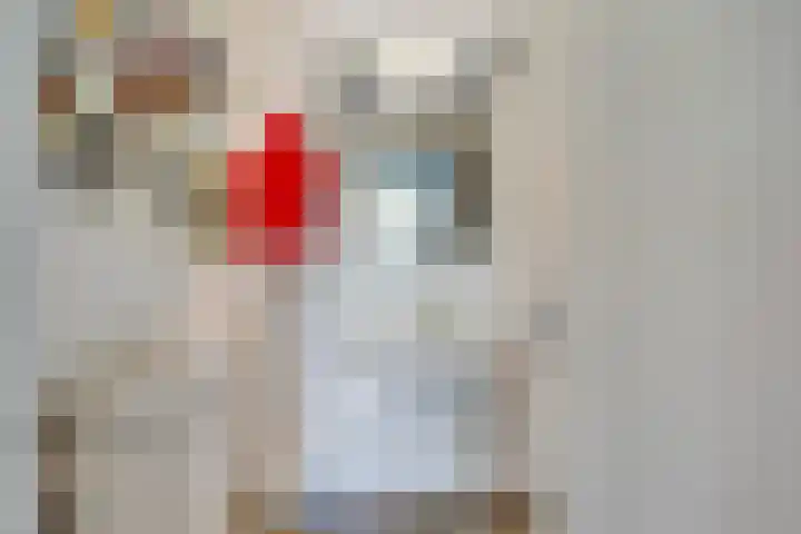 Hoefslag 10 Bemmel thumbnail 19