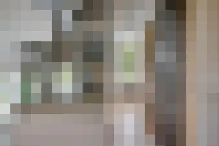 Hoefslag 10 Bemmel thumbnail 22