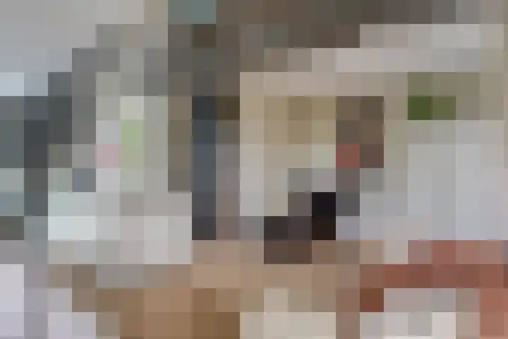 Hoefslag 10 Bemmel thumbnail 24