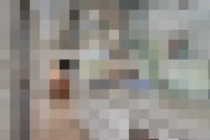 Hoefslag 10 Bemmel thumbnail 27