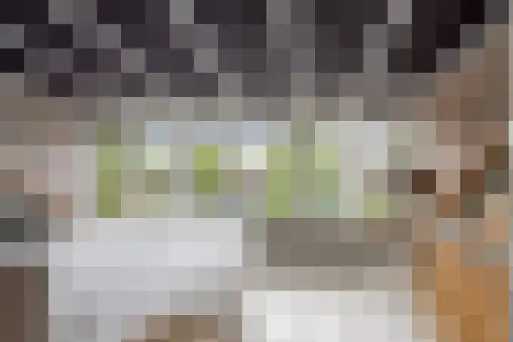 Hoefslag 10 Bemmel thumbnail 30