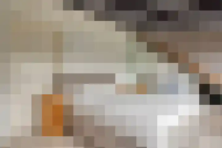 Hoefslag 10 Bemmel thumbnail 31