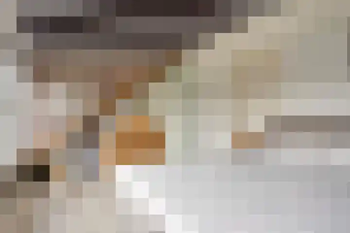 Hoefslag 10 Bemmel thumbnail 32