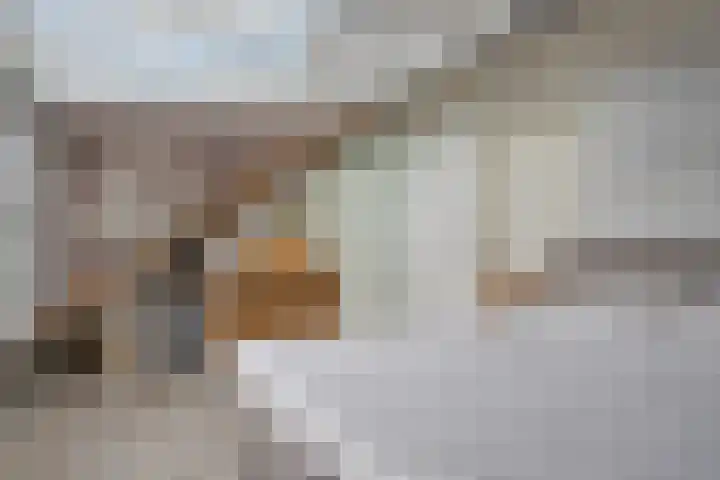 Hoefslag 10 Bemmel thumbnail 33