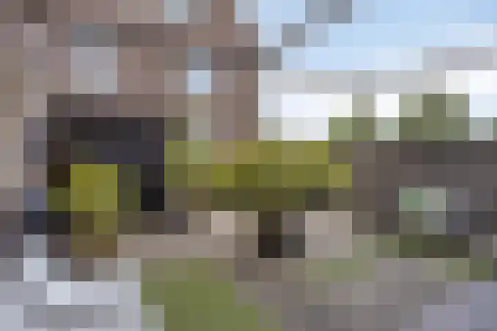 Hoefslag 10 Bemmel thumbnail 39