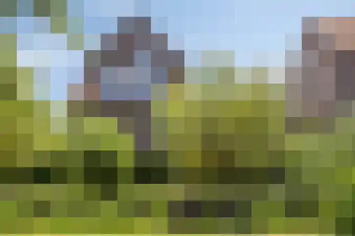 Hoefslag 10 Bemmel thumbnail 4