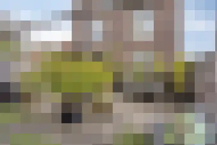 Hoefslag 10 Bemmel thumbnail 40