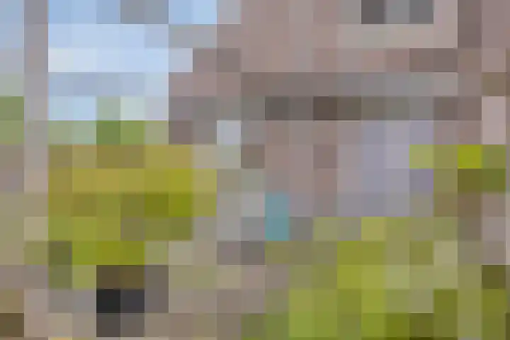 Hoefslag 10 Bemmel thumbnail 41