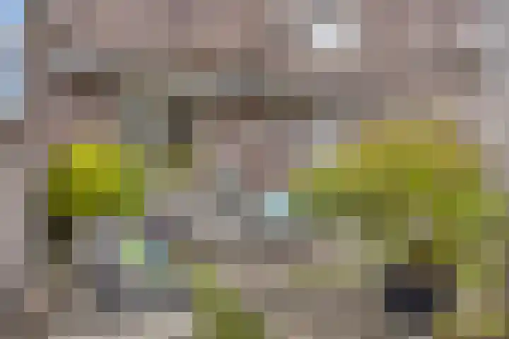 Hoefslag 10 Bemmel thumbnail 43