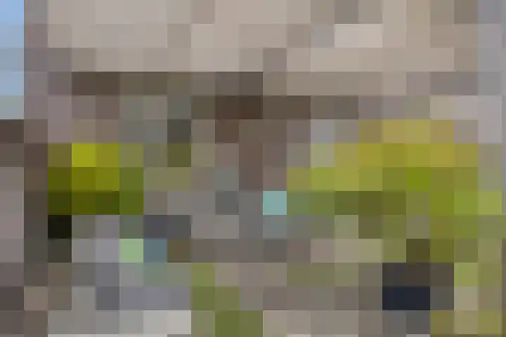 Hoefslag 10 Bemmel thumbnail 44