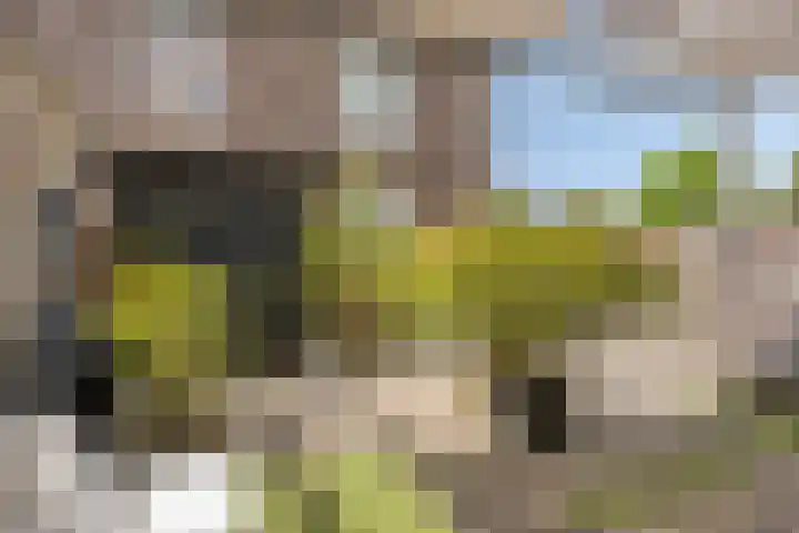 Hoefslag 10 Bemmel thumbnail 45