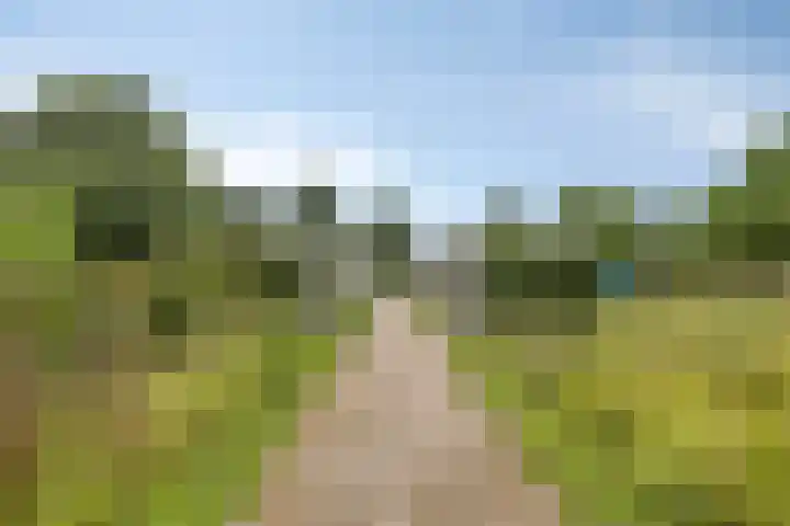 Hoefslag 10 Bemmel thumbnail 48