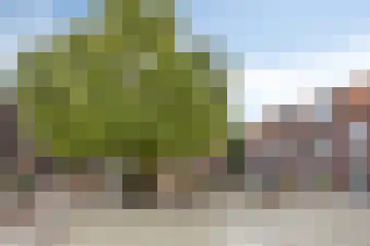 Hoefslag 10 Bemmel thumbnail 49