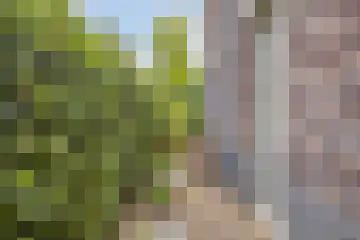 Hoefslag 10 Bemmel thumbnail 5