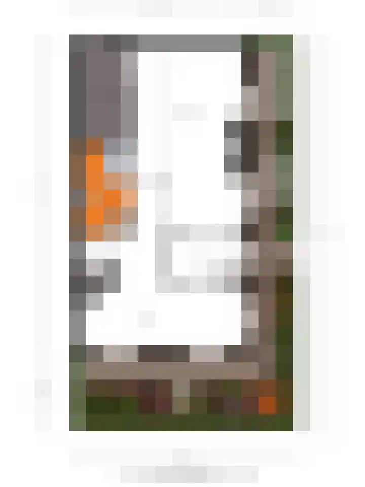 Hoefslag 10 Bemmel thumbnail 50