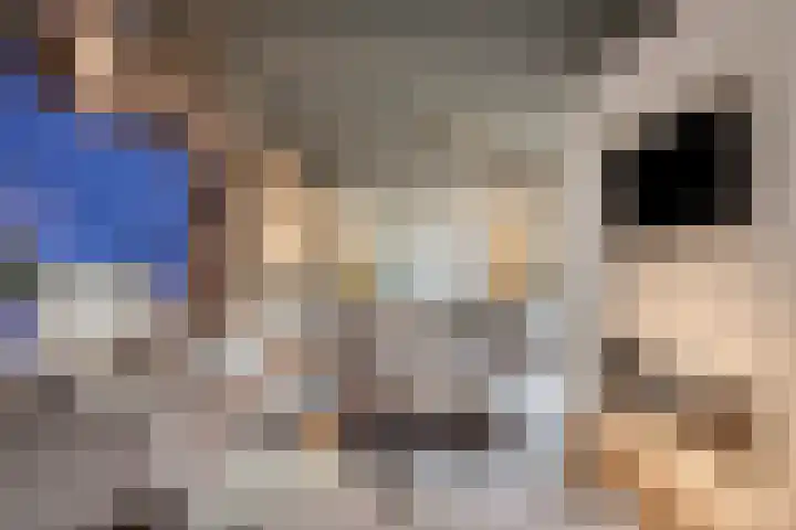 Hoefslag 10 Bemmel thumbnail 9