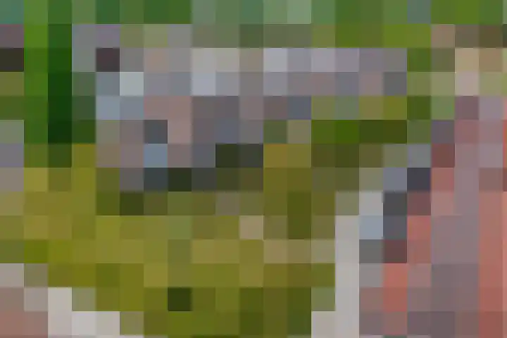 Hoefslag 11 a Nijkerk thumbnail 30