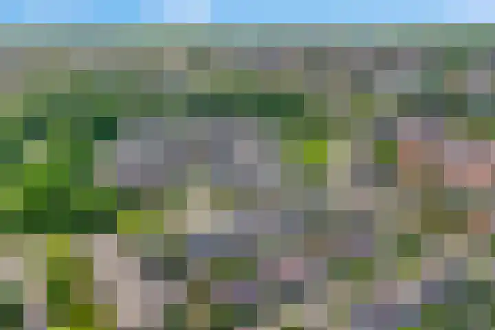 Hoefslag 11 a Nijkerk thumbnail 31