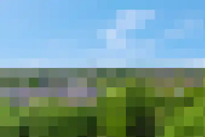 Hoefslag 11 a Nijkerk thumbnail 32